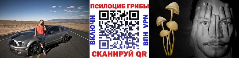 Купить где  Мостовской  Галлюциногенные грибы Psilocybe 